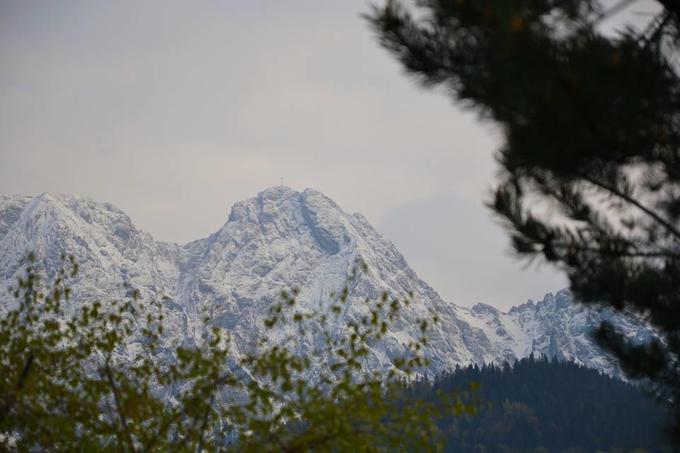 Apartament Twoj Giewont Zakopane Кошелско Екстериор снимка